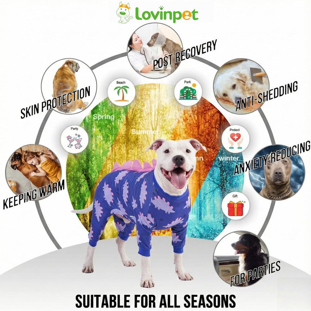 LovinPet post-op recovery suit offering light coverage for incisions