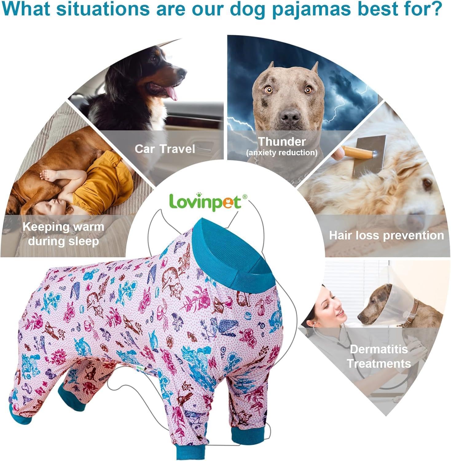 LovinPet post-surgery pajamas in indoor use keep dogs clean and comfy