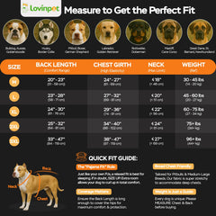 LovinPet stretchy pullover dog jammies for easy on-off use.