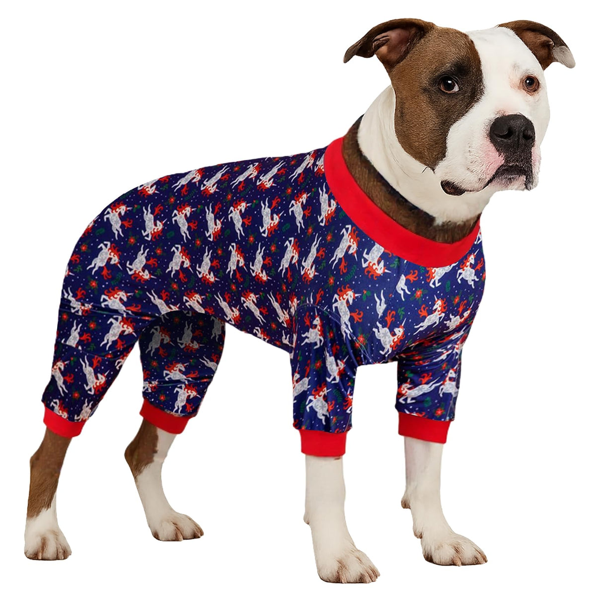 LovinPet recovery bodysuit large dogs front view with easy pullover design