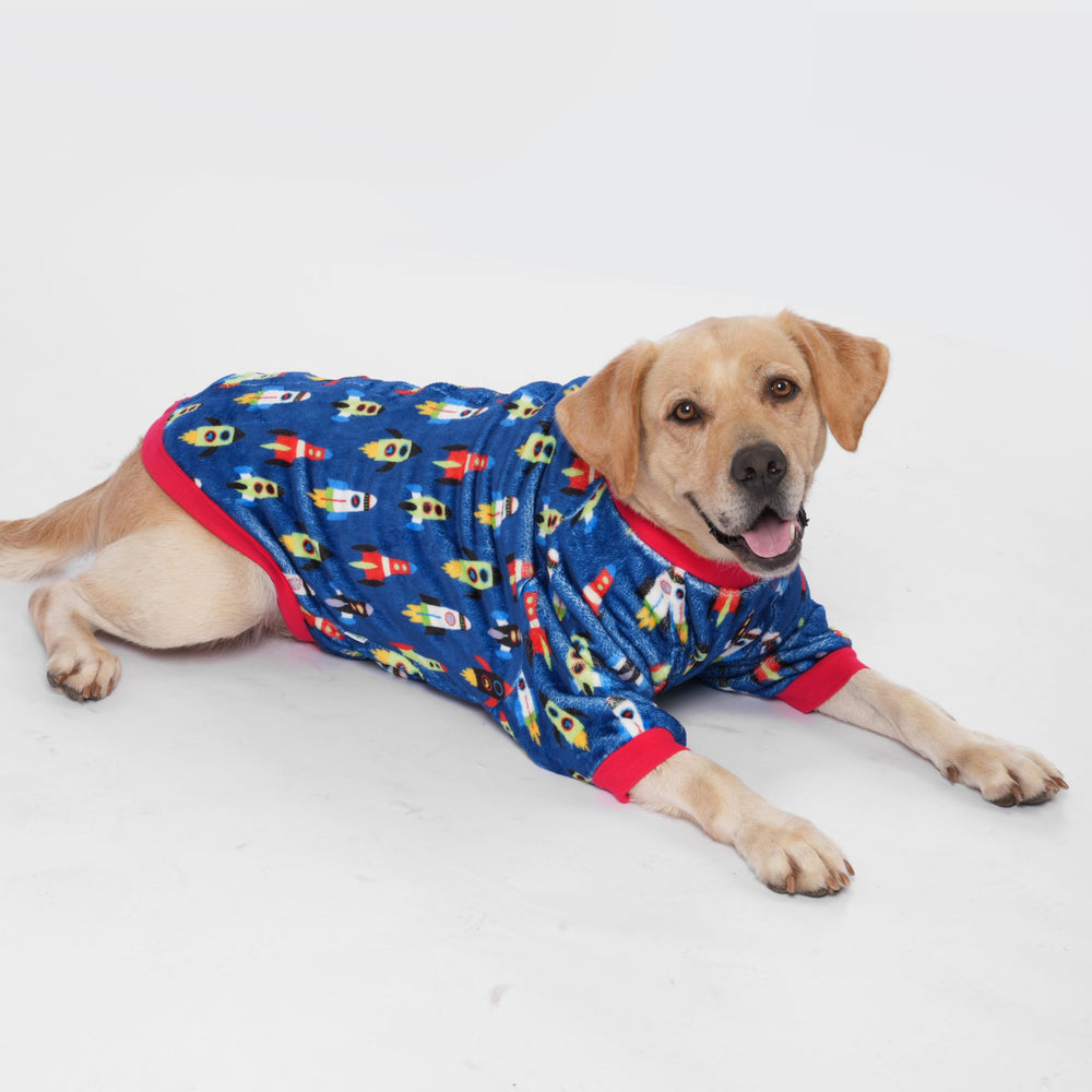 Easy-on-off Velcro closure on LovinPet sweater for quick dressing.