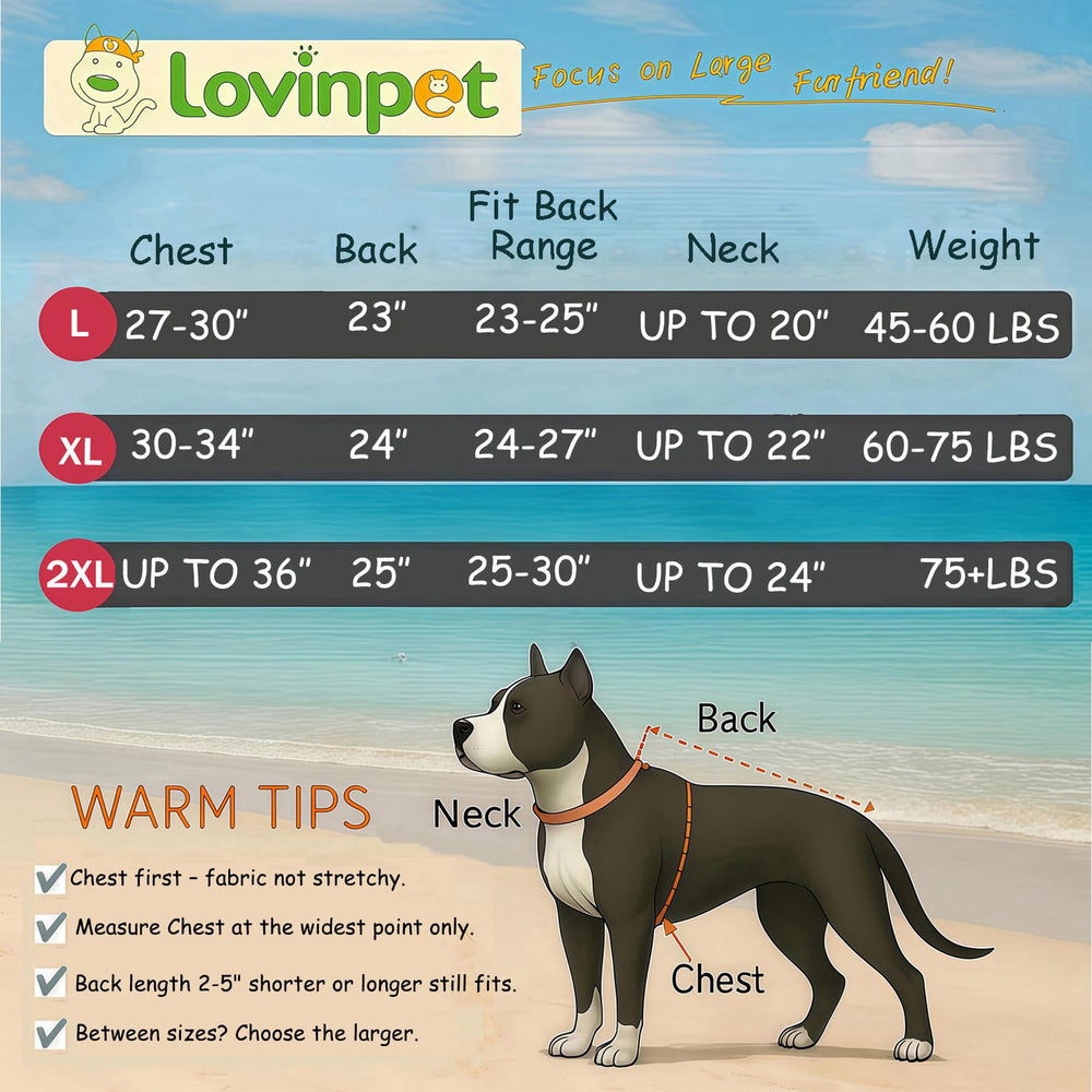 LovinPet sweater back view showing windproof fit and cozy interior.
