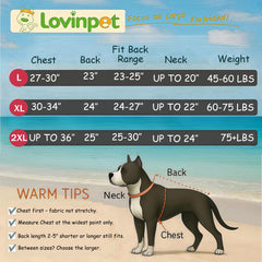 LovinPet sweater back view showing windproof fit and cozy interior.