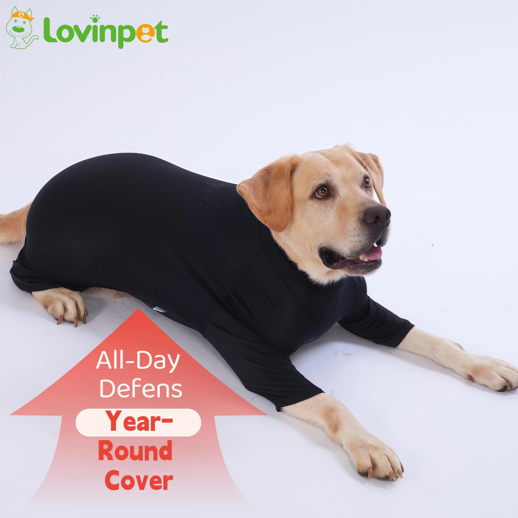 LovinPet UPF50+ dog shirt worn outdoors provides UV protection during sunny walks.