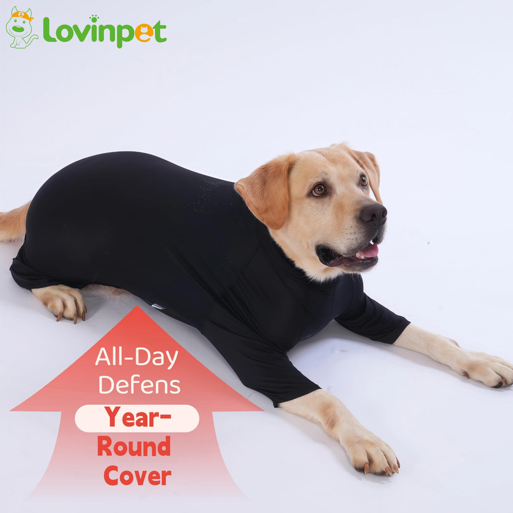 LovinPet UPF50+ dog shirt worn outdoors provides UV protection during sunny walks.