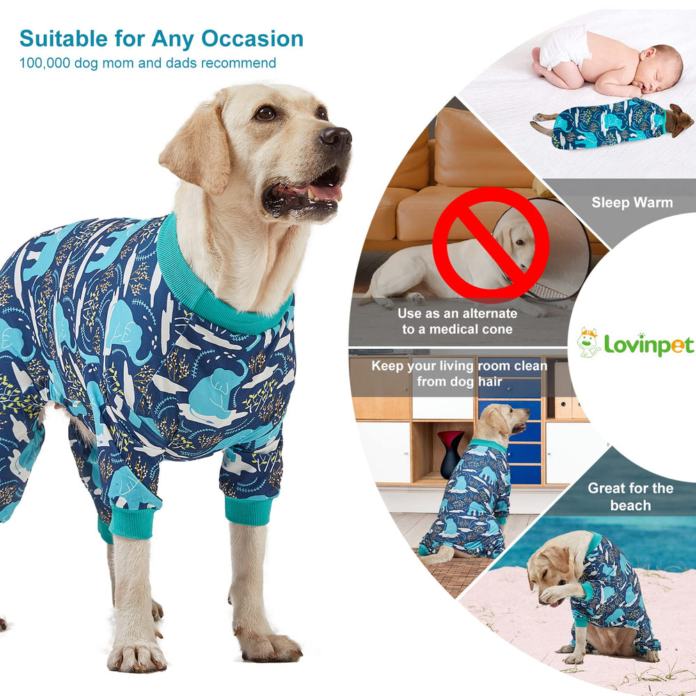 LovinPet UV-protection dog onesie shields skin at the beach.