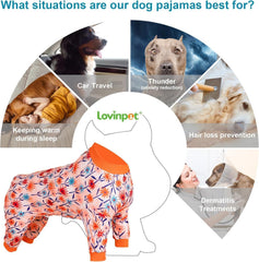 LovinPet uv protection dog pajamas shielding skin on sunny days.