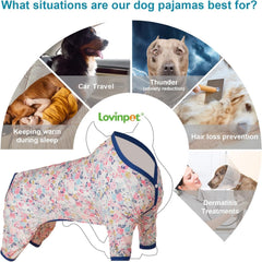 LovinPet UV-protection dog shirt helps protect skin during sunny strolls