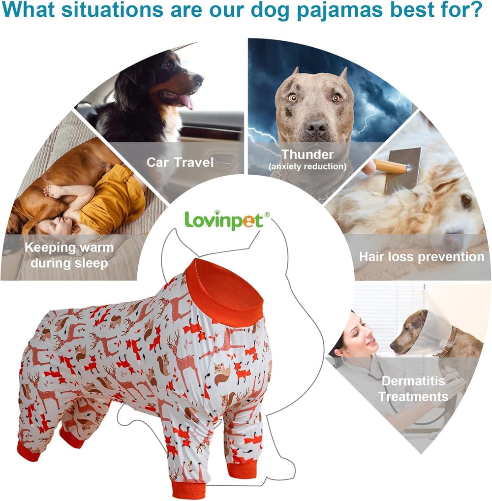 LovinPet uv-protection-shirt-01: sun-shielding comfort on sunny outings