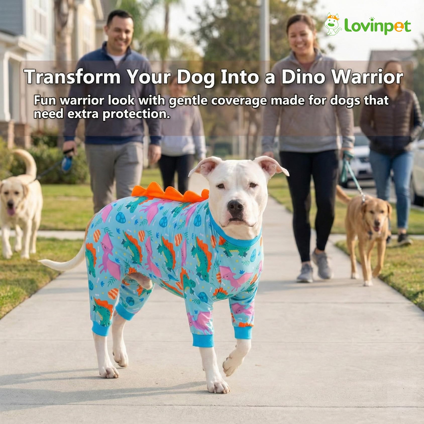 LovinPet wing print option emphasizes comfort and fun for lounging