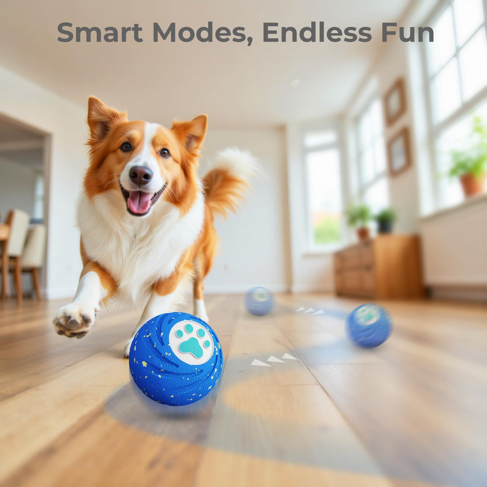 Lovkid Smart Ball during fetch-action captures energetic play and dog bonding