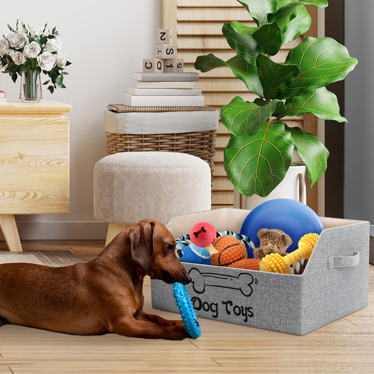 LOVSTORAGE 2X Thicker Large Dog Toy Box with handle for easy transport
