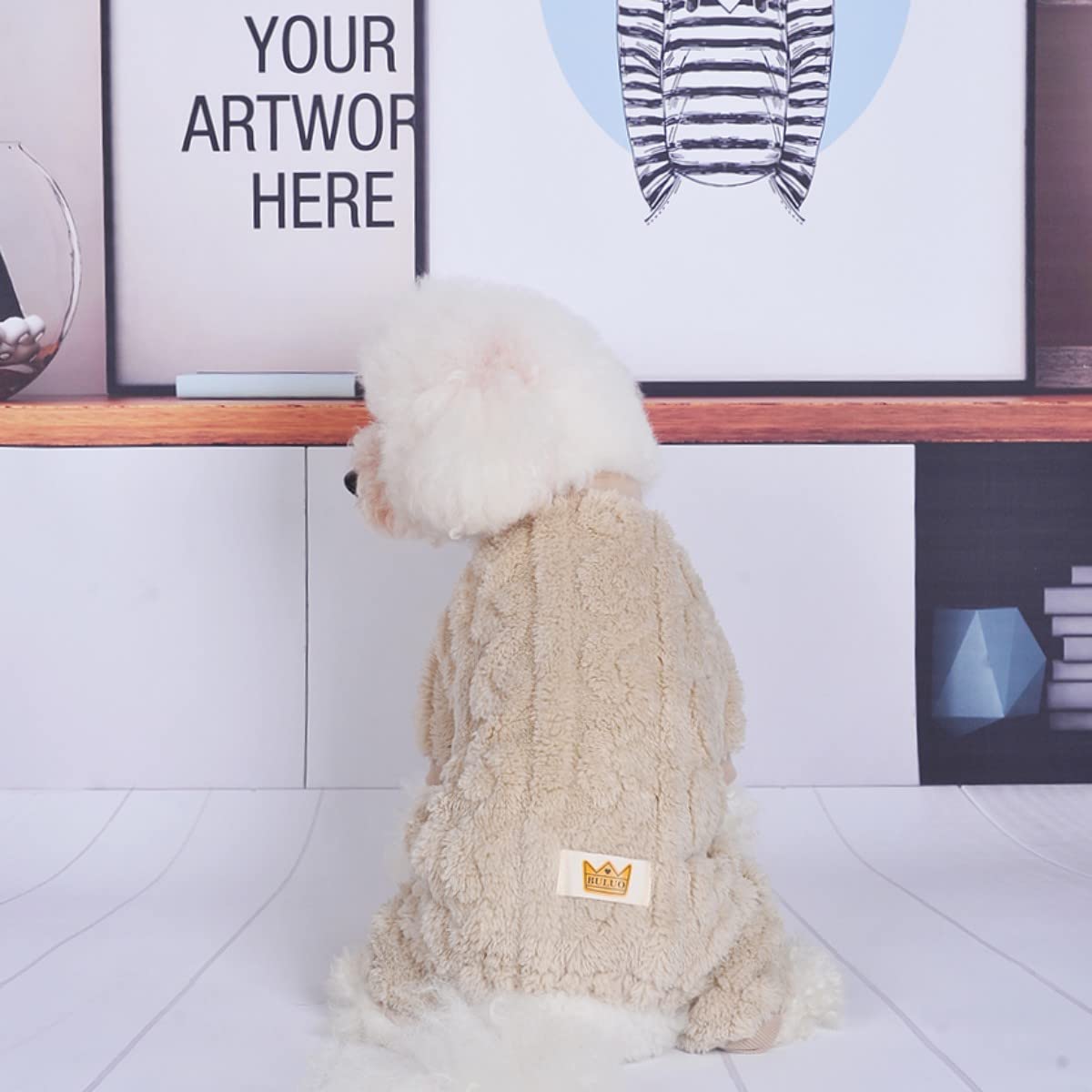 Loyanyy plush dog pajamas worn during a windy dog walk for coziness.