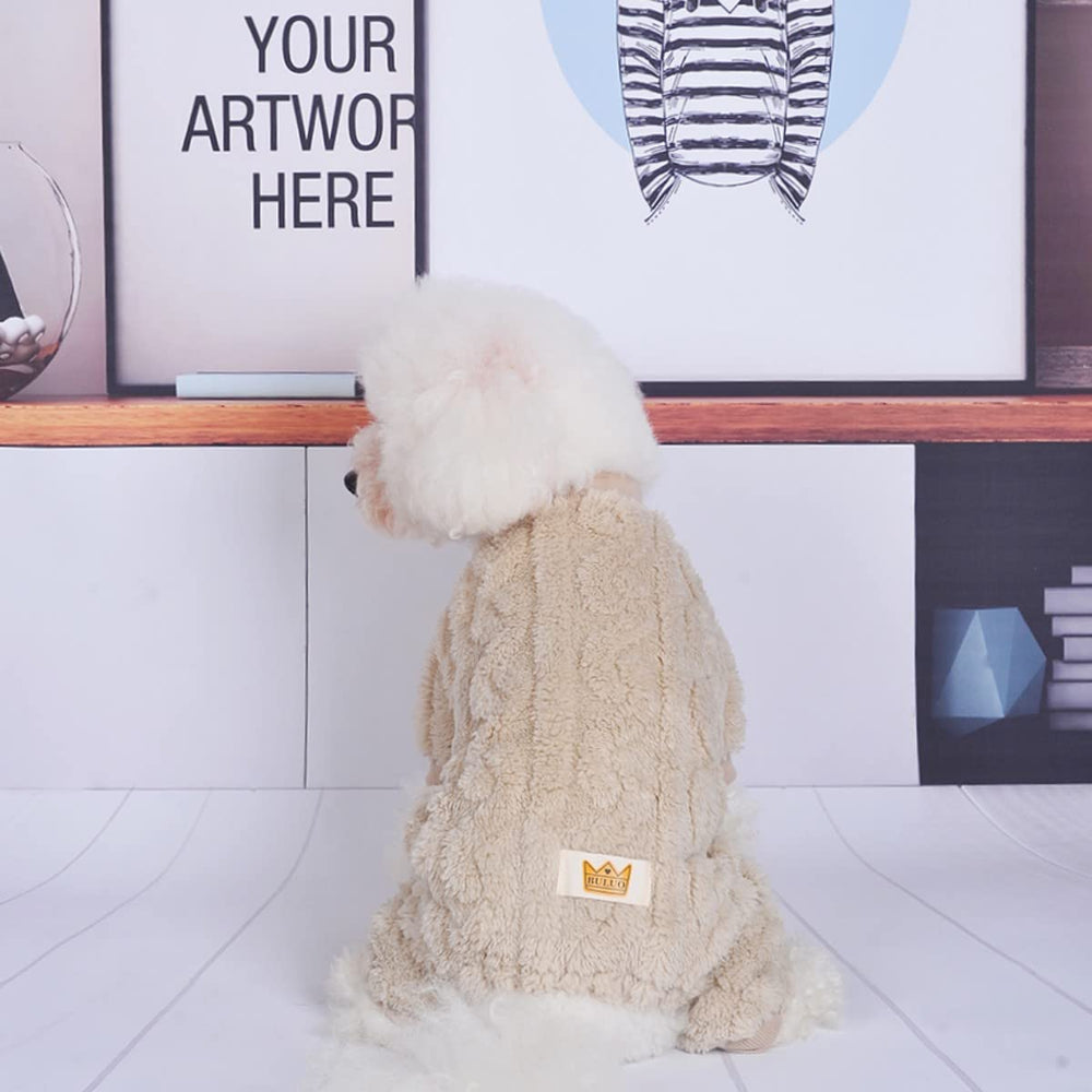 Loyanyy plush dog pajamas worn during a windy dog walk for coziness.