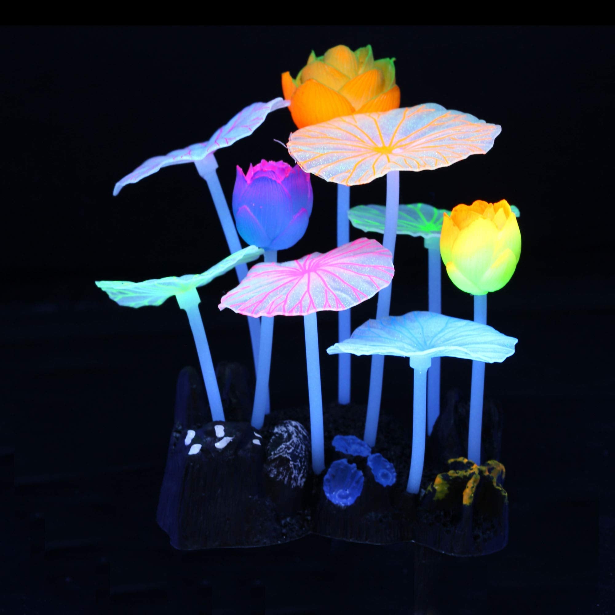 Lpraer glow under UV light decoration adds shimmering depth