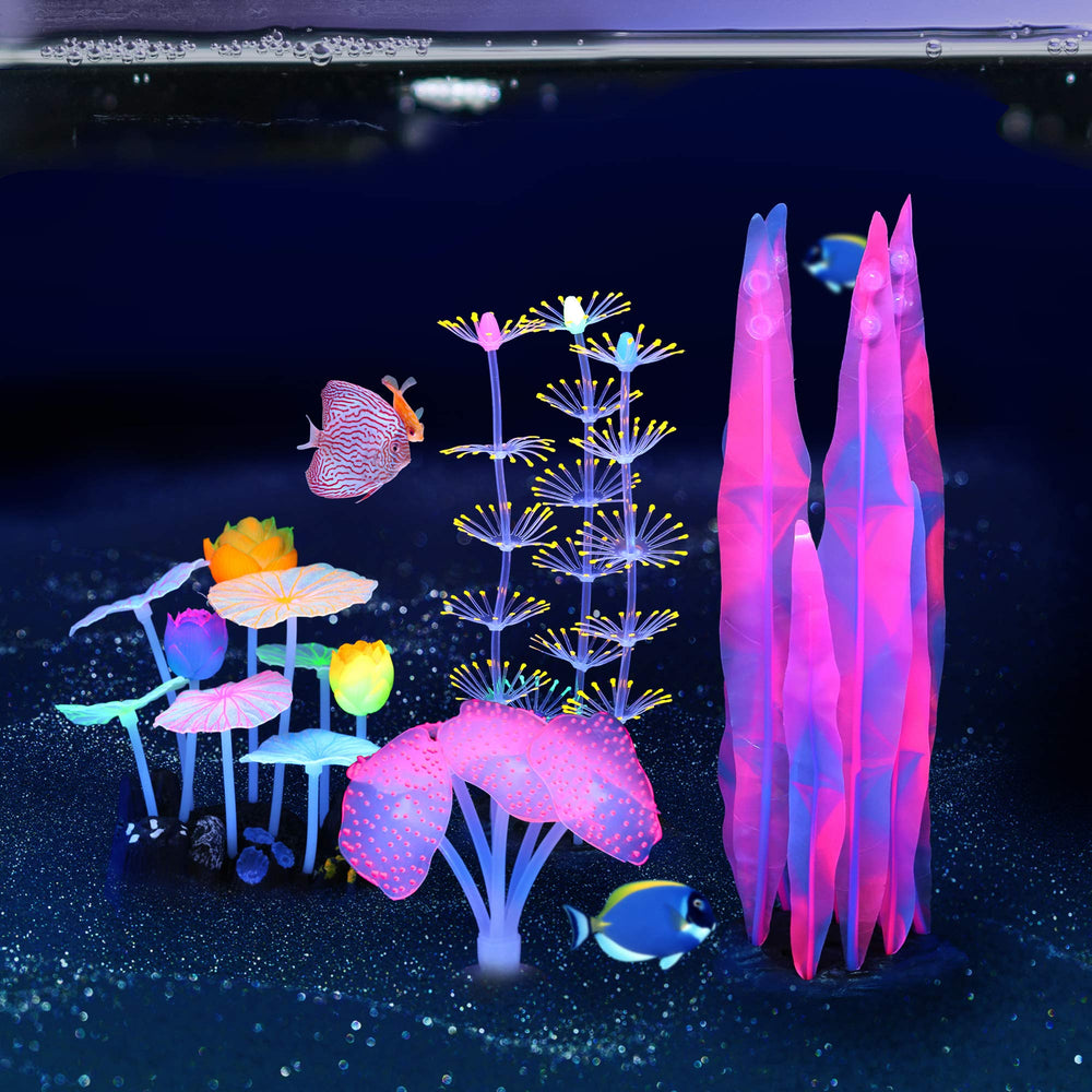 Lpraer in-tank setup demonstrates easy placement and stable display
