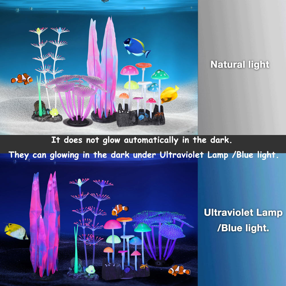 LPraer glow aquarium mushrooms provide a colorful focal point in tanks