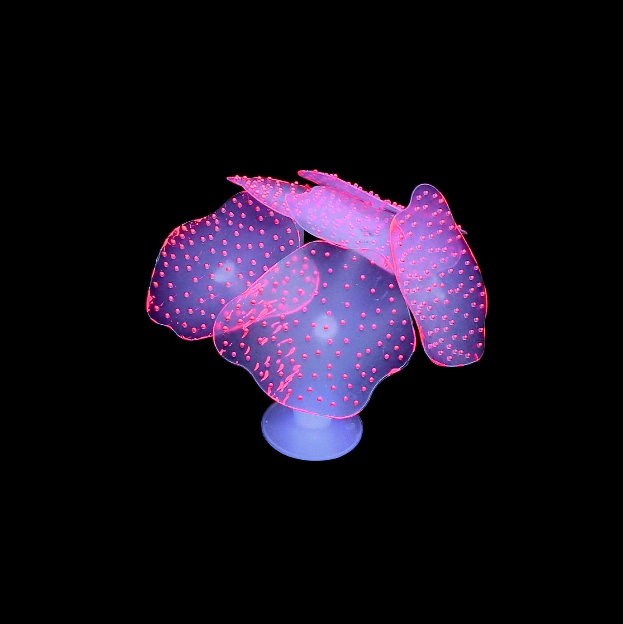 Lpraer glow aquarium decor with suction base stays stable during water flow.