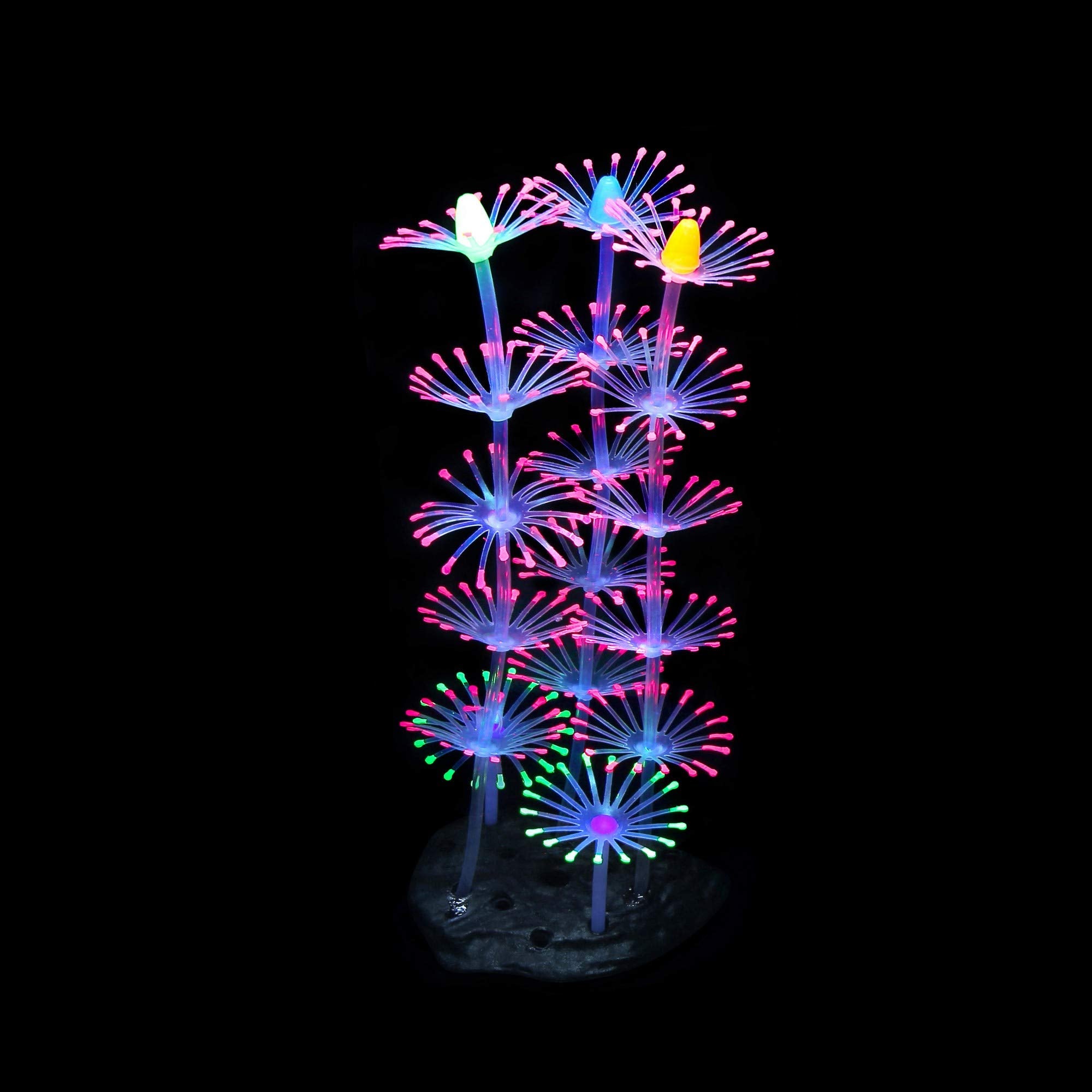 Lpraer glow set suits both saltwater and freshwater tanks for diversified displays.