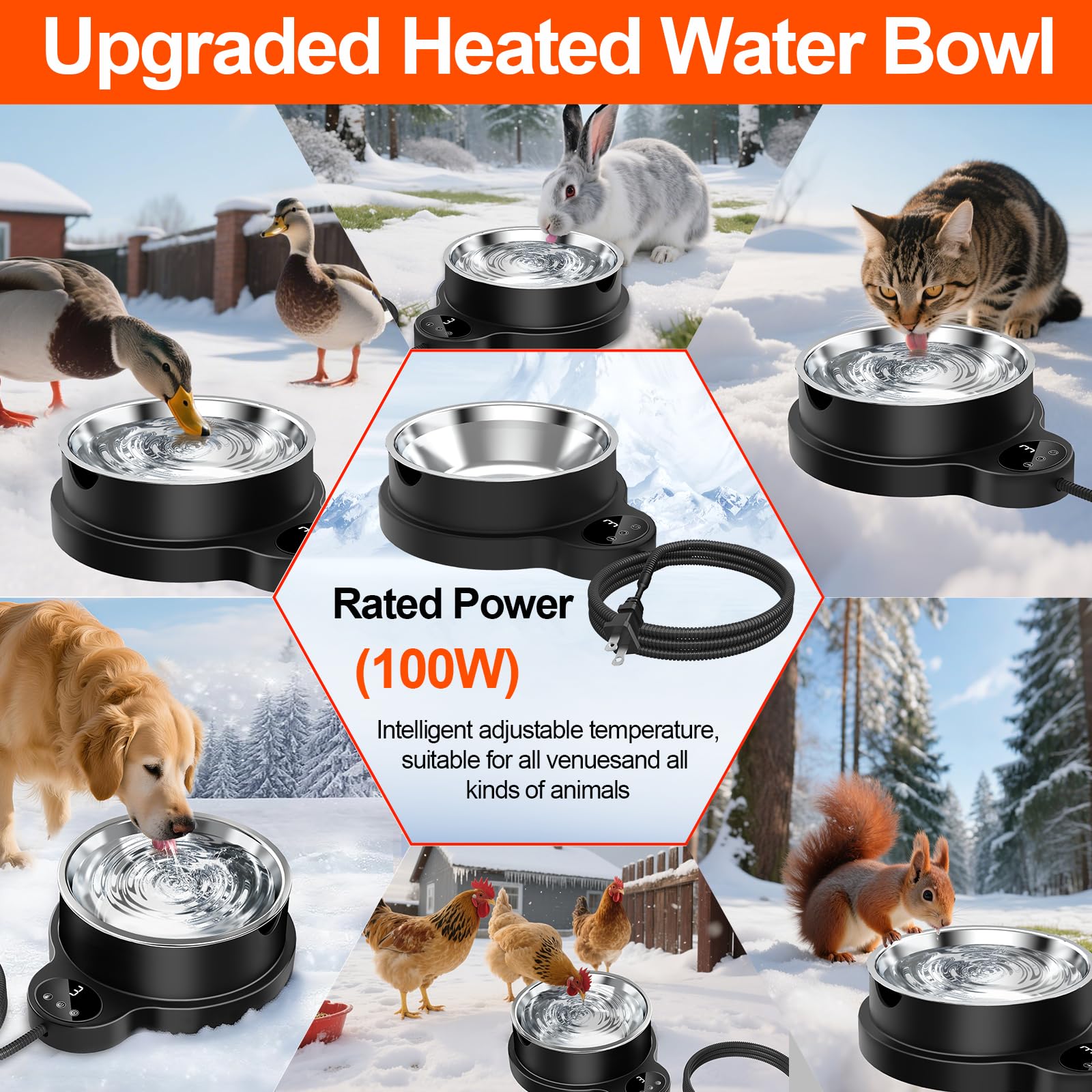 LQTTEK winter hydration use cases for dogs, cats, birds and poultry