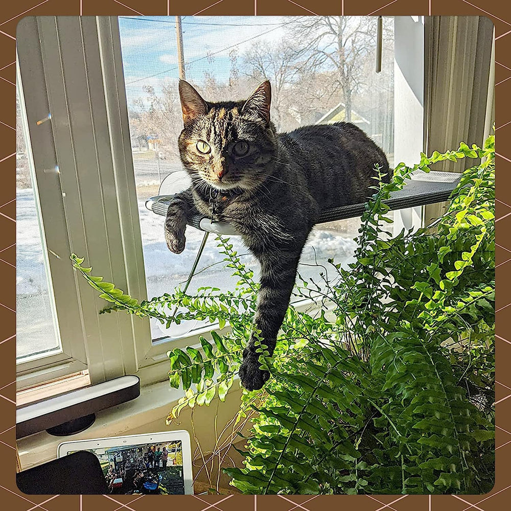 LSAIFATER window perch grey seat highlights comfortable sunbathing for cats