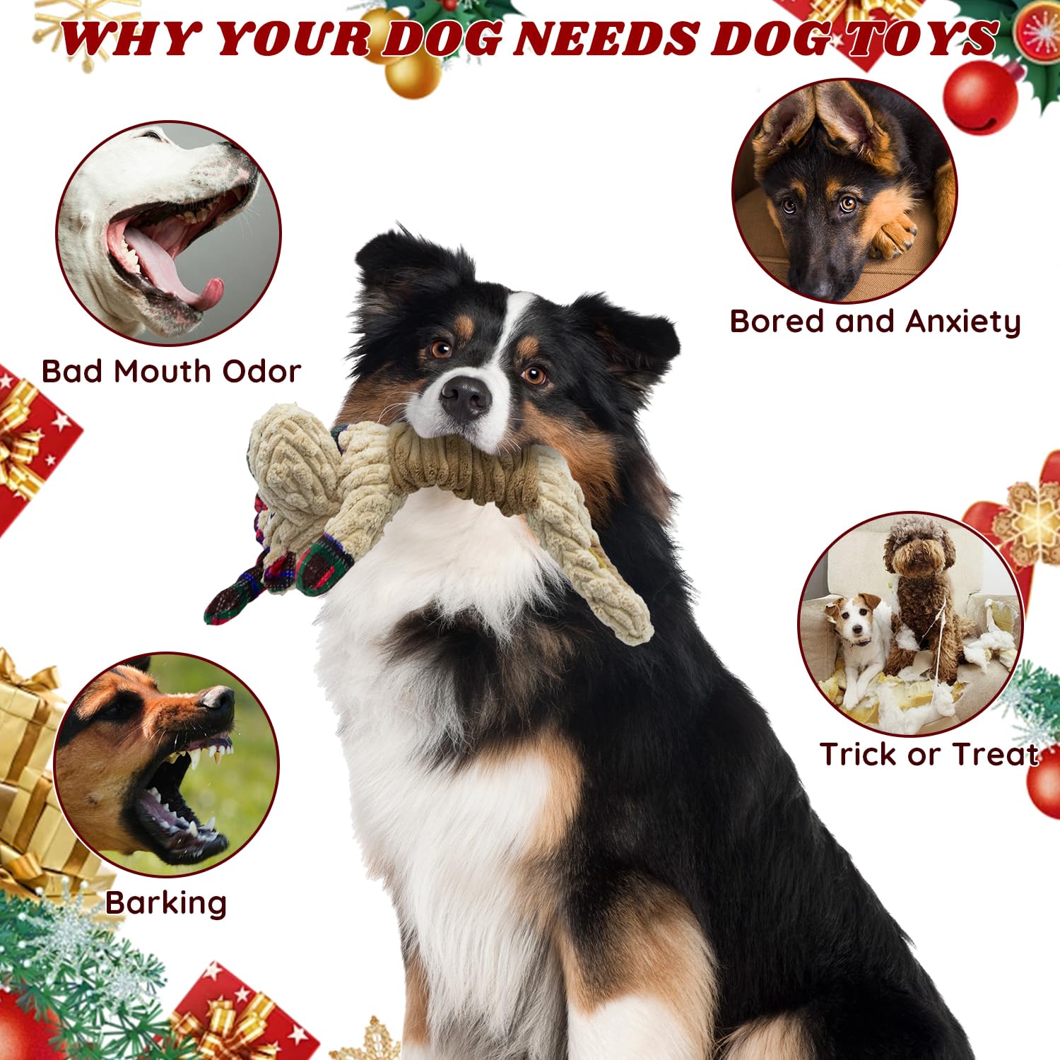 LSSYYQQ squeaker distribution image highlights multi-point sound stimulation.