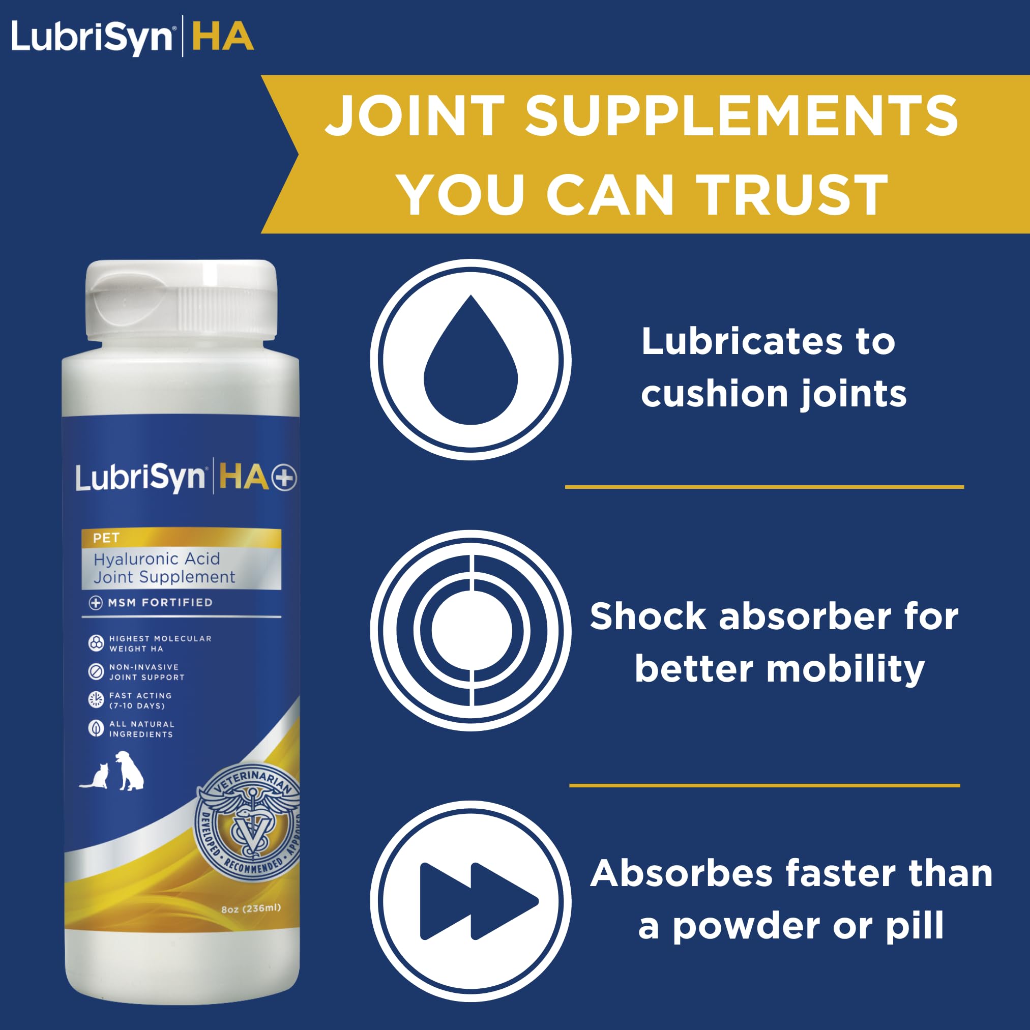 LubriSynHA for dogs highlights improved mobility during play and walks.
