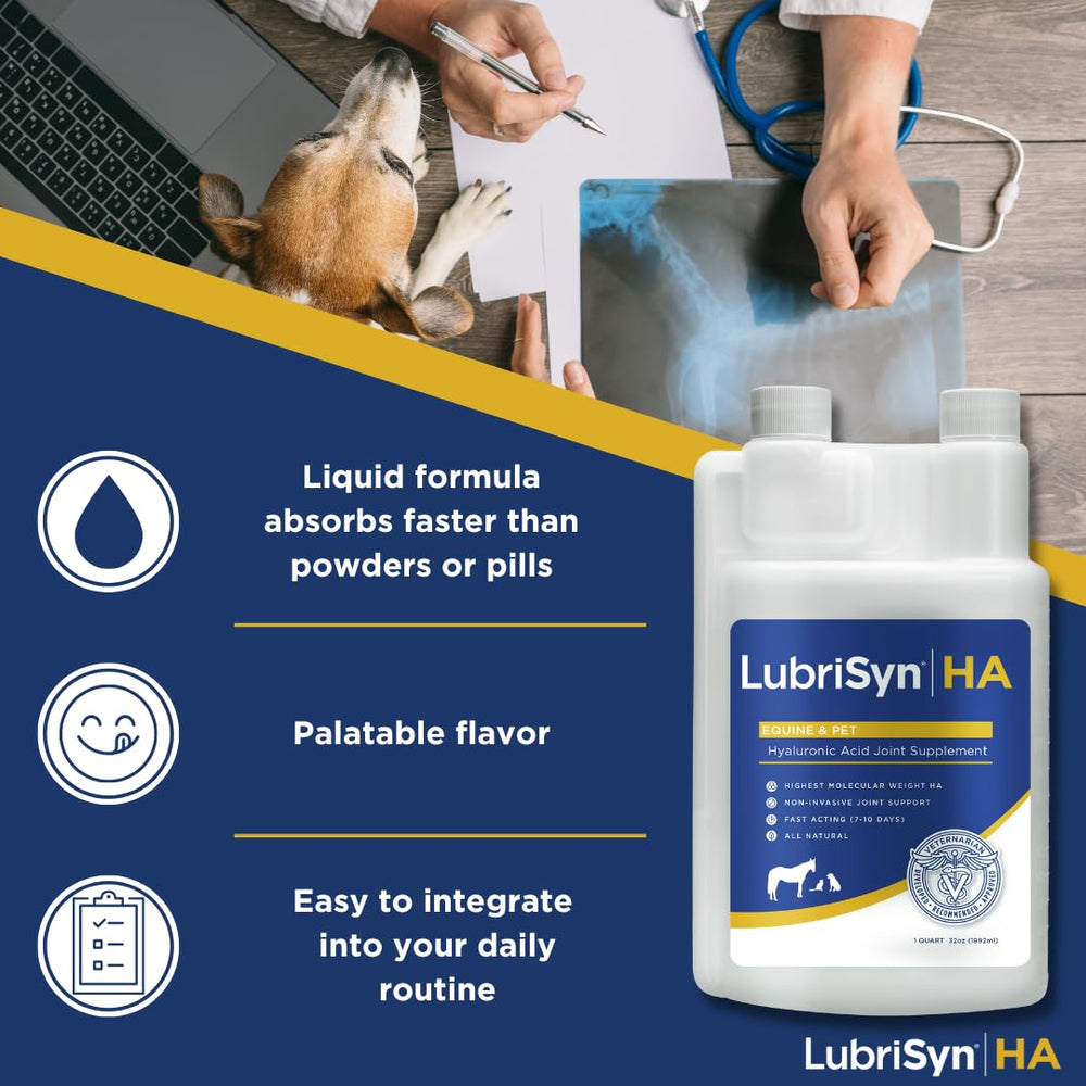 LubriSynHA added to food dish shows simple administration for busy households.