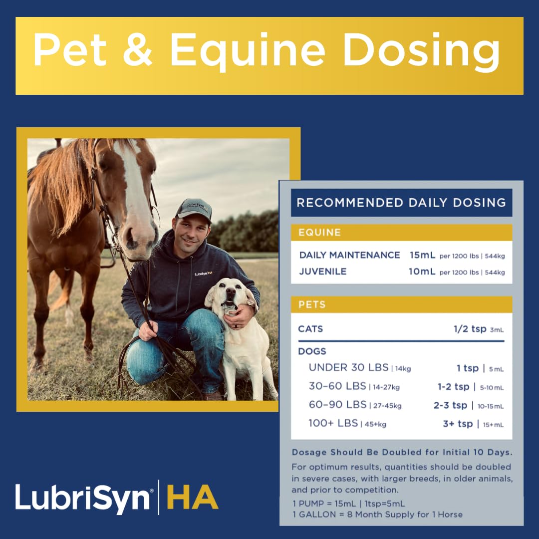 LubriSynHA for horses supports steady movement in riding and turnout.