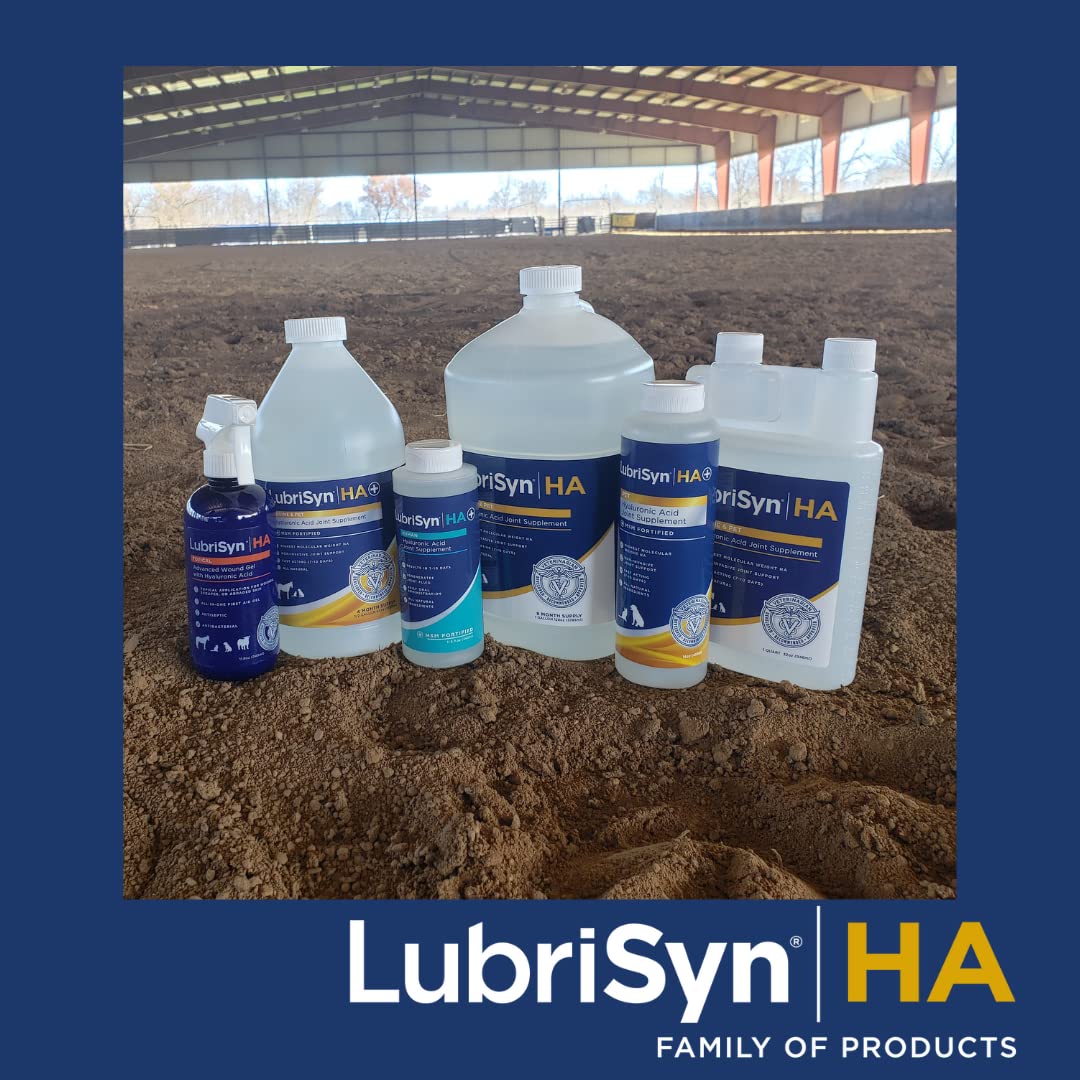 LubriSynHA product shot emphasizes high-molecular-weight HA for long-lasting lubrication.