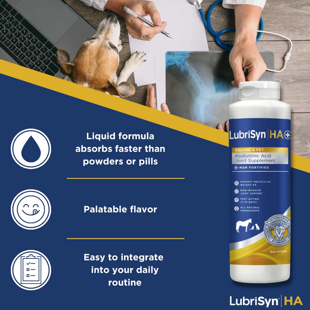 LubrisynHA liquid absorption highlights fast hydration of joints.