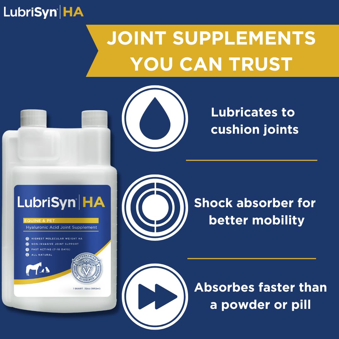 LubriSynHA pets dog-cat-horse usage demonstrates bonding moments during joint care across species.