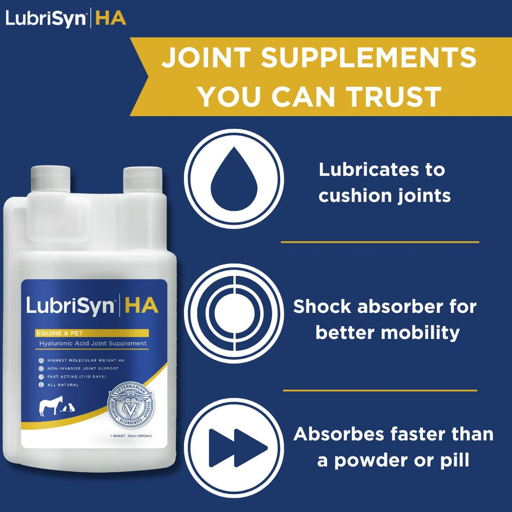 LubriSynHA pets dog-cat-horse usage demonstrates bonding moments during joint care across species.