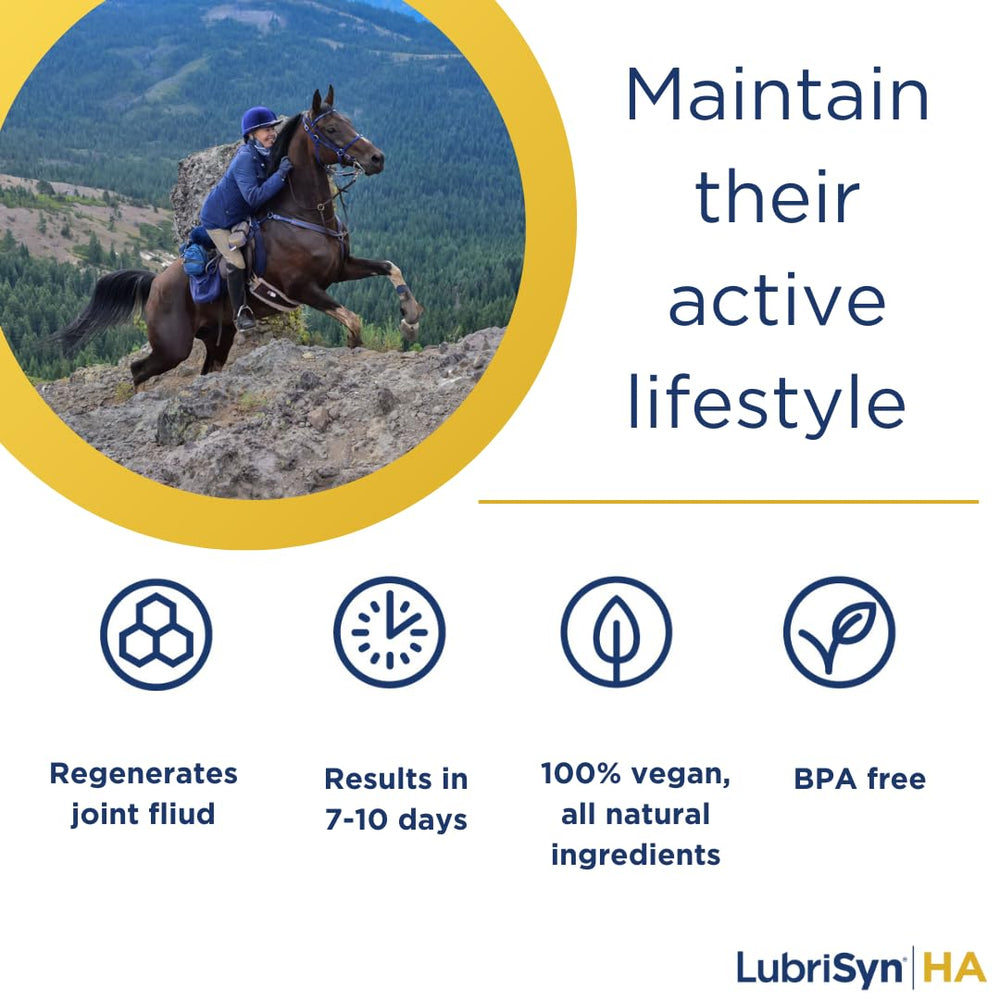 LubrisynHA senior-pets image emphasizes cross-species joint support.