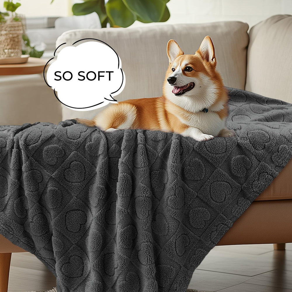 Luciphia 57x40-inch blanket spread on living room furniture.