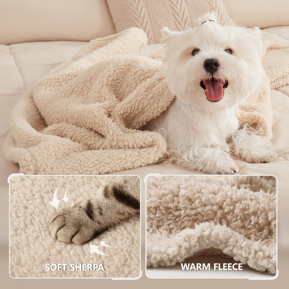 Luciphia calming blankets dog closeup — plush sherpa fleece ideal for snuggling.