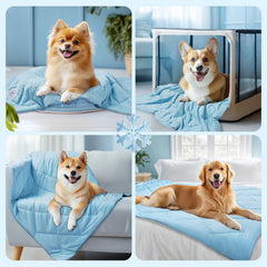 Luciphia cooling blanket displayed as chic home decor with white border and quilting.