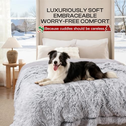 Luciphia dog blanket guards couches against chewing and shedding.