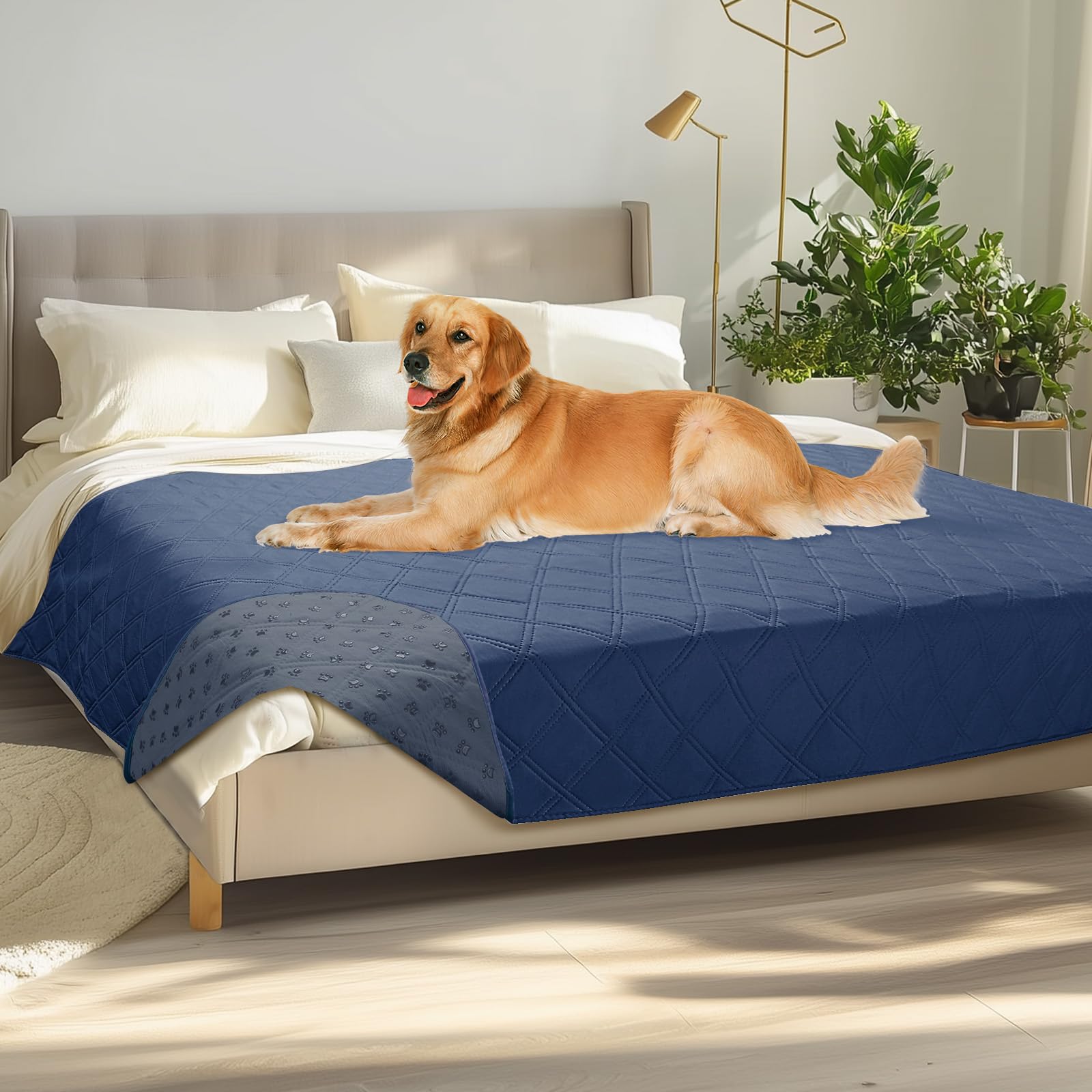 Luciphia dog couch cover waterproof protects sofa from spills and accidents