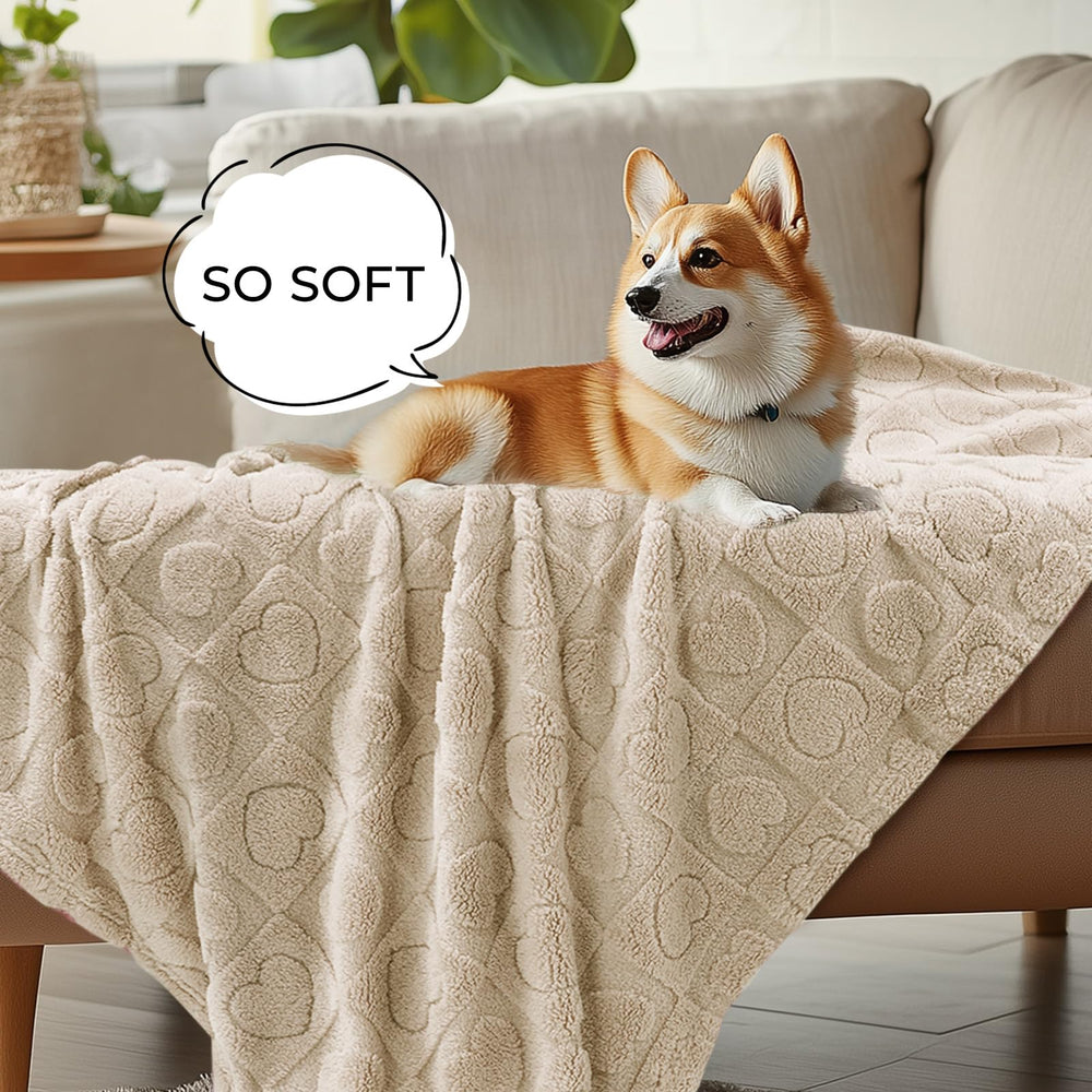 Luciphia machine-washable-pet-blanket is easy to clean after muddy adventures.