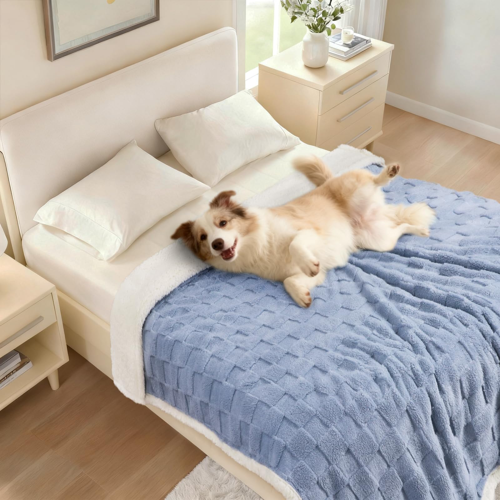 Luciphia-large-size-dog-blanket offers roomy coverage for bigger pets.