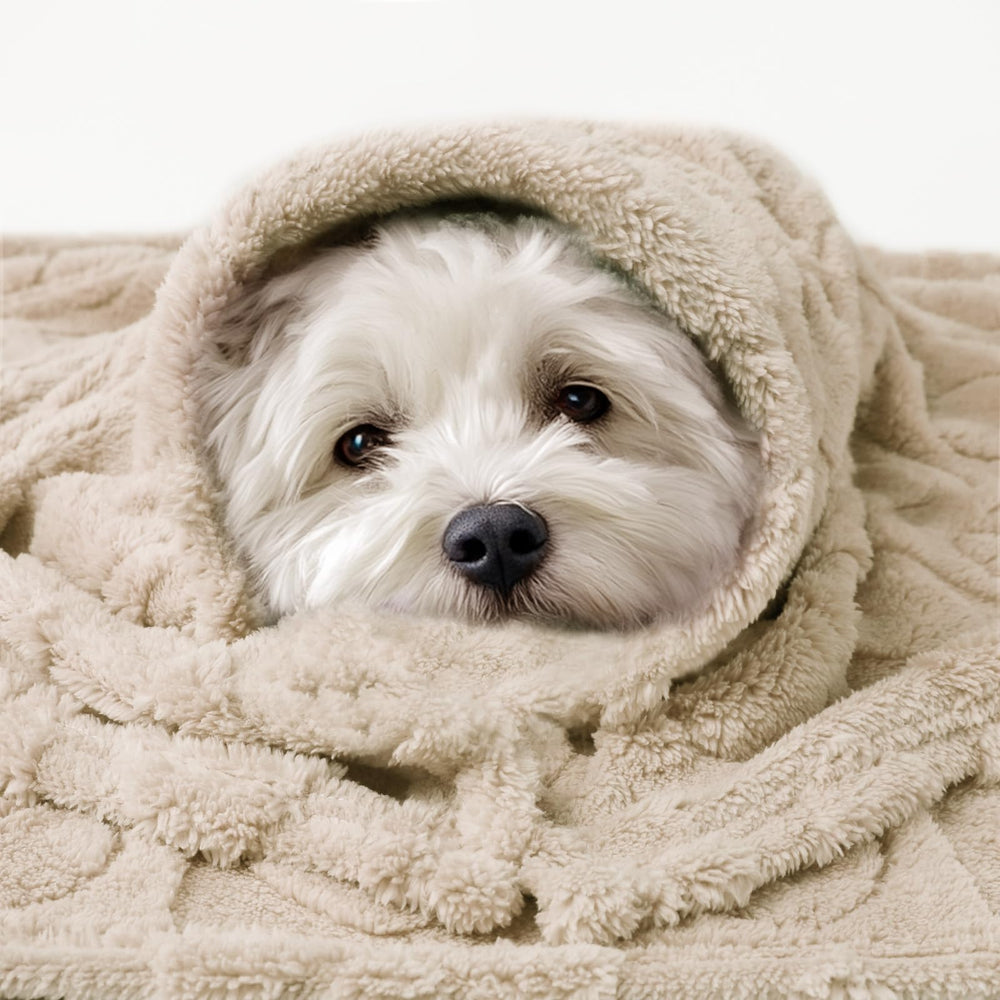 Luciphia cozy-cat-dog-blanket beige blends with home decor while soothing pets.