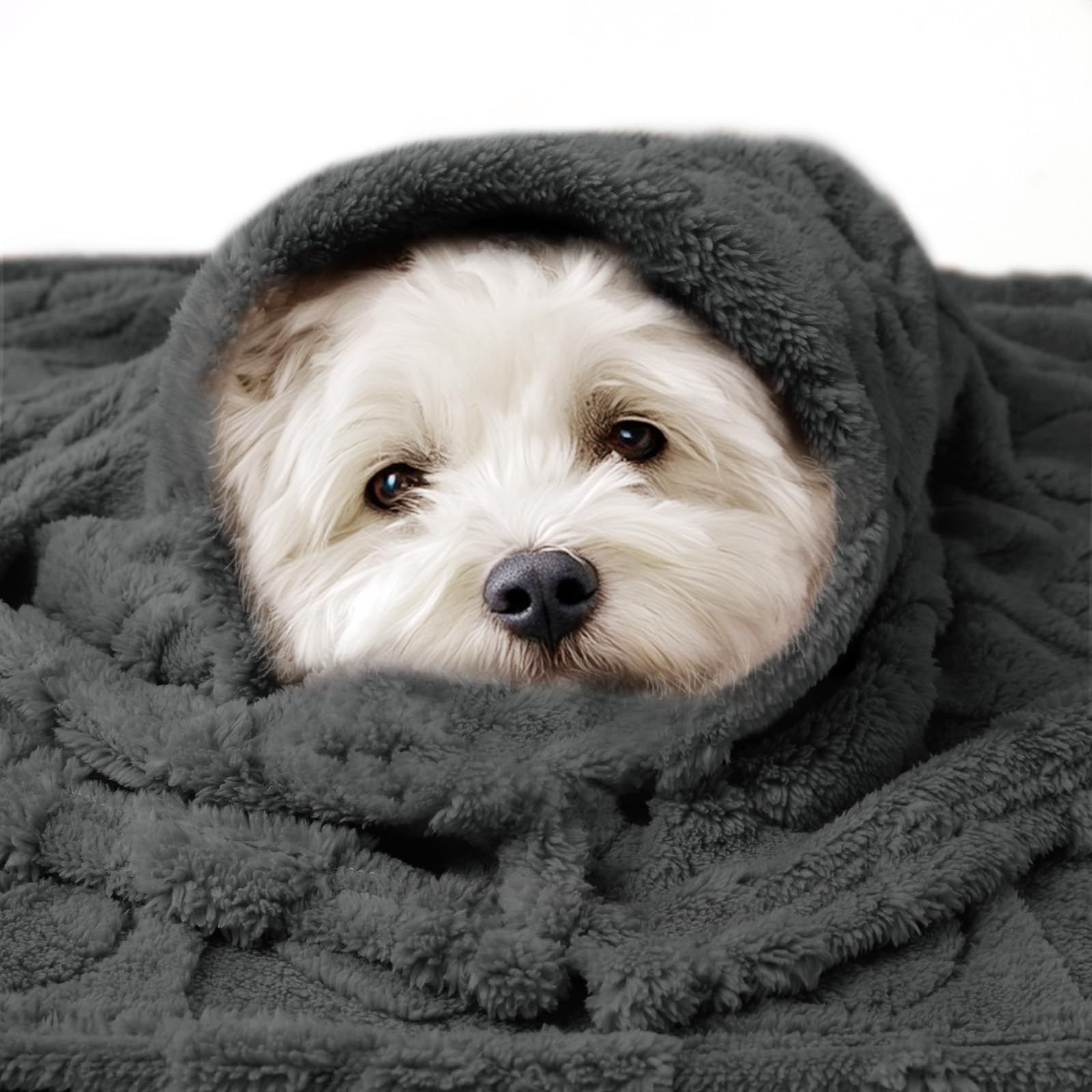 Luciphia machine-washable pet blanket ready for easy cleaning.