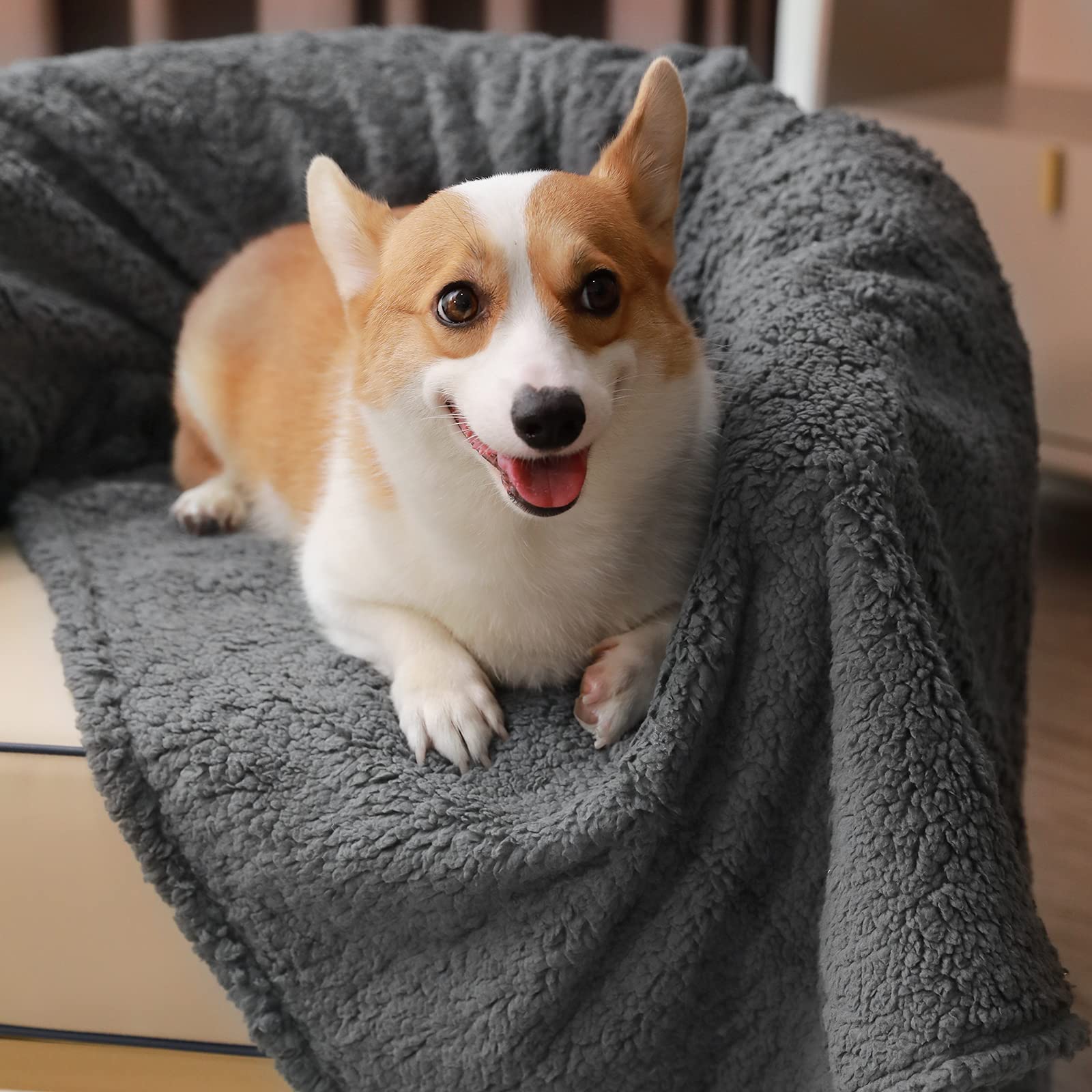 Luciphia pet blanket on couch shows plush comfort for lounging pets