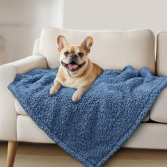 Luciphia Premium Fleece Blanket close-up of soft sherpa fabric for cozy pets