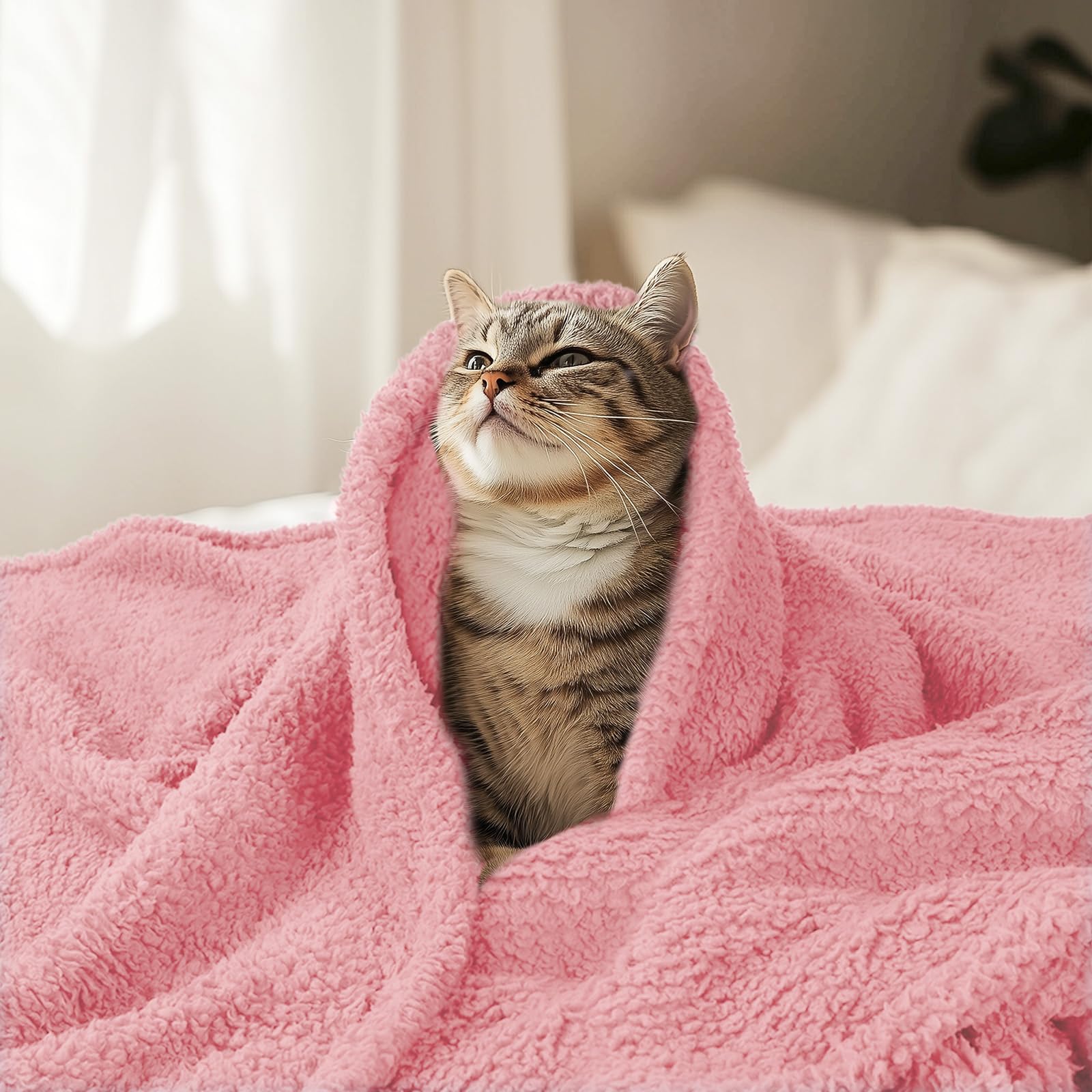 Luciphia premium fleece pet blanket machine-washable and quick-dry
