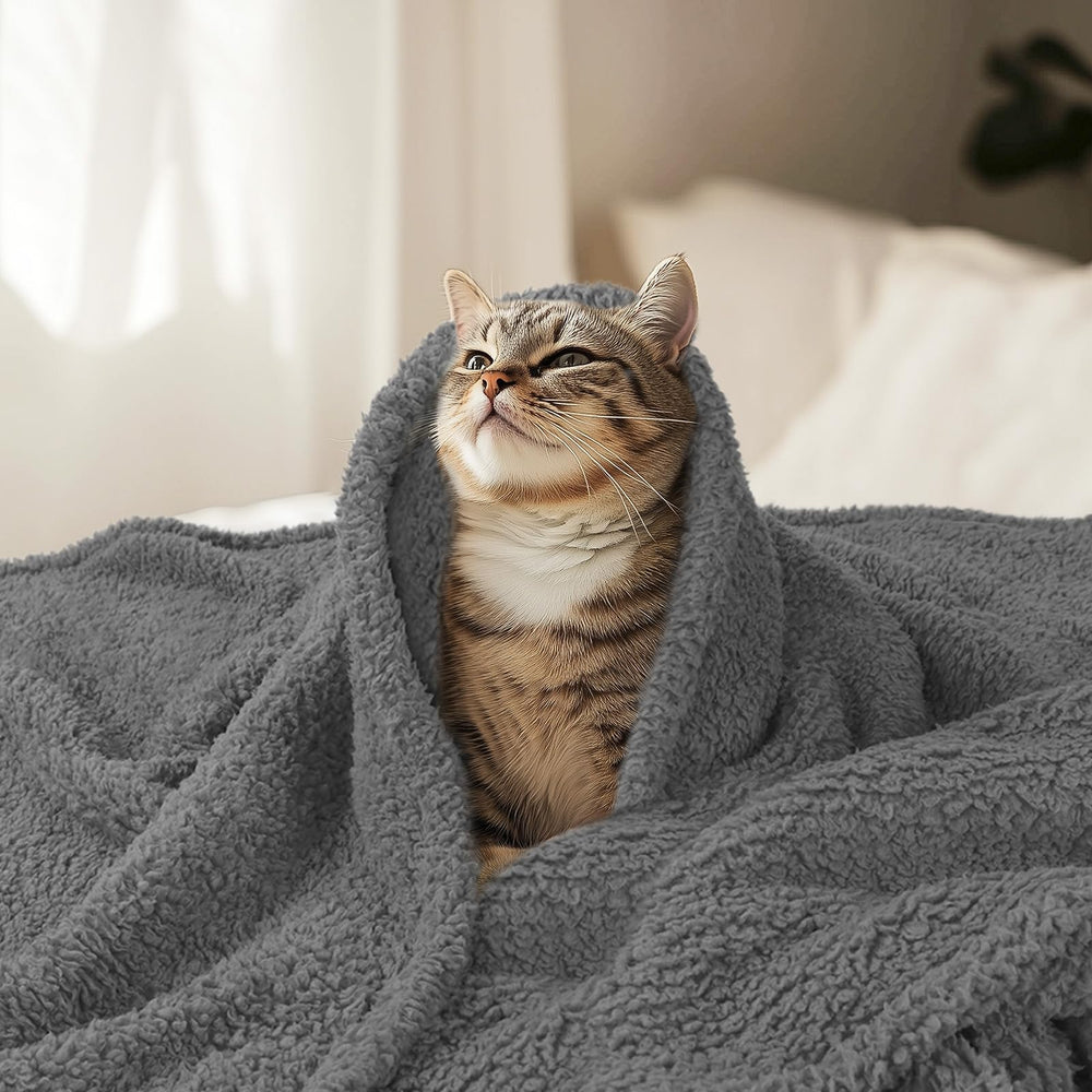 Grey beige color complements home decor while reducing pet hair visibility.