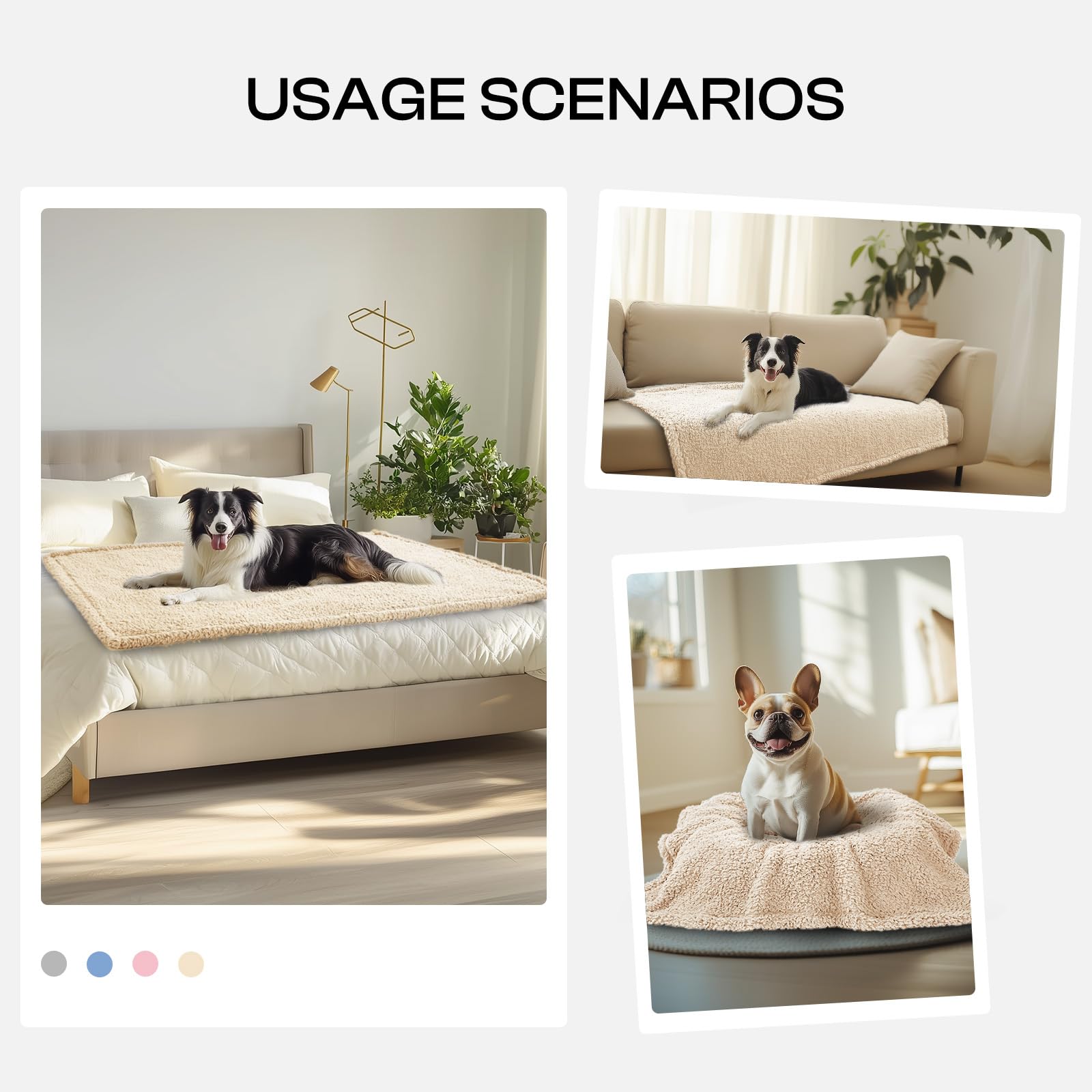 Luciphia Premium Fleece Pet Blanket small-dog-setup offers a cozy resting spot.
