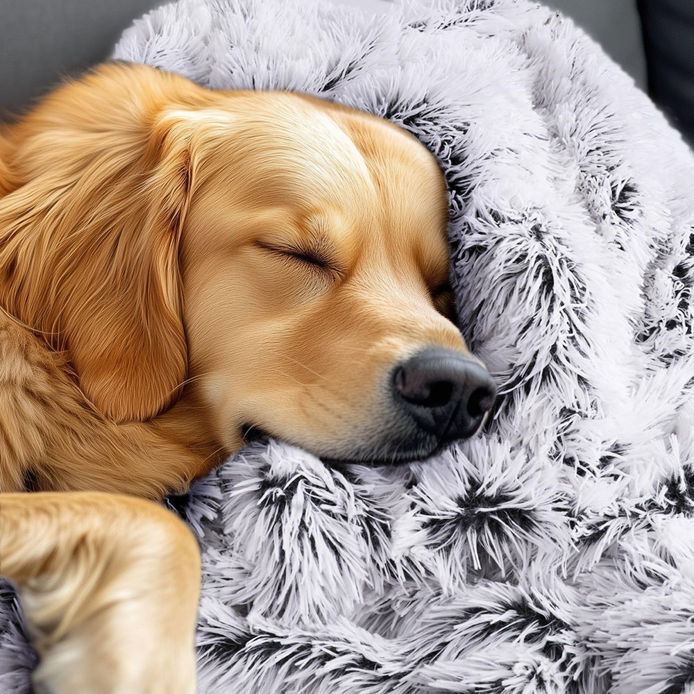 Luciphia reversible design complements decor while keeping pets comfy.