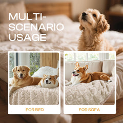 Luciphia soft fleece dog blanket warmth and comfort for lounging.